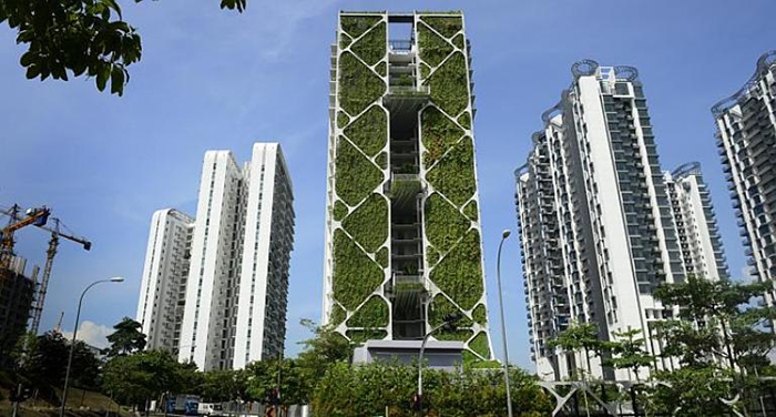 Tree House, Сингапур 