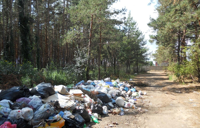 Экологи провели рейд в Рыбинске Ярославской области
