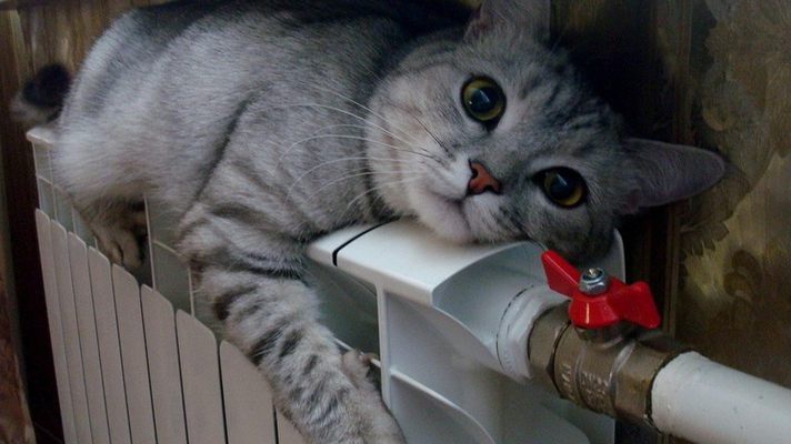 Во многих городах России отопительный сезон наступит уже через неделю