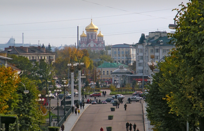 В Орле представлен план благоустройства Александровского моста