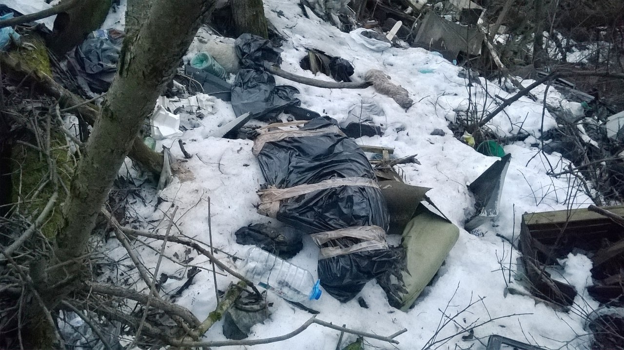 Прокуратура выясняет происхождение свалки из трупов животных под Калугой